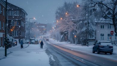 هشدار برای بارش برف سنگین در سوئد