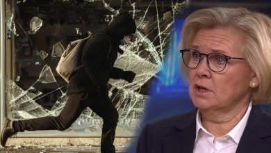 رئیس پلیس ملی سوئد موج خشونت فعلا متوقف شده است
